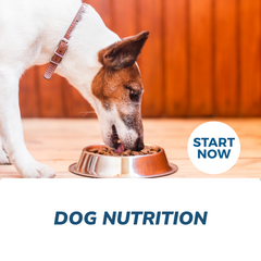 Dog Nutrition Online Certificate Course - Pup List