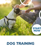 Dog Training Online Certificate Course