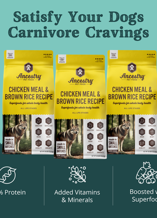 Chicken Meal and Rice