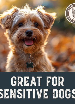 Grain-Free Chicken Tenders Dog Treats