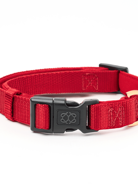 City Collar - Iconic Red - Pup List