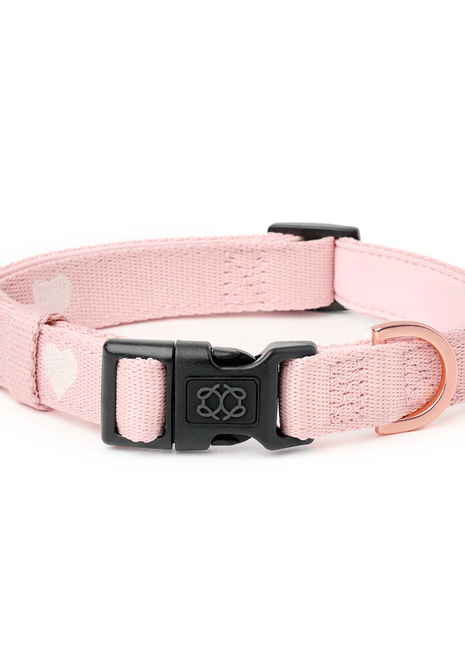City Collar - Sweetheart - Pup List