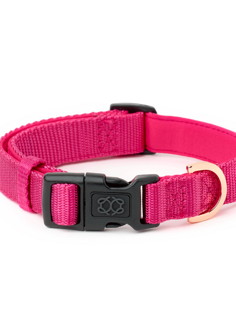 City Collar - Park Ave Pink