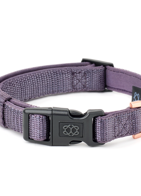 City Collar - Lilac Gray - Pup List