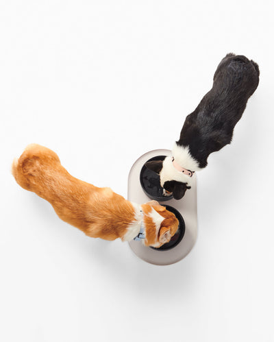 Dining Set - Pup List