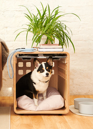 Crate