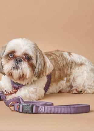 3-in-1 City Dog Leash - Lilac Gray