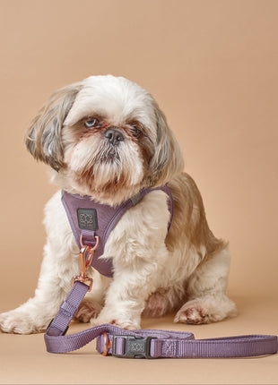 3-in-1 City Dog Leash - Lilac Gray