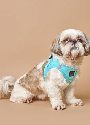 SoHo Dog Harness - Fifth Avenue