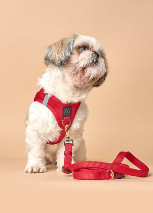 3-in-1 City Dog Leash - Iconic Red - Pup List