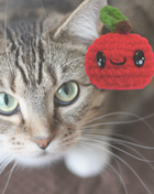 Handmade Cat Toy - 2 pack | Ruby & Olive – The Halloween Apples Chunkle Puffs Infused with Miracle Nip Botanicals
