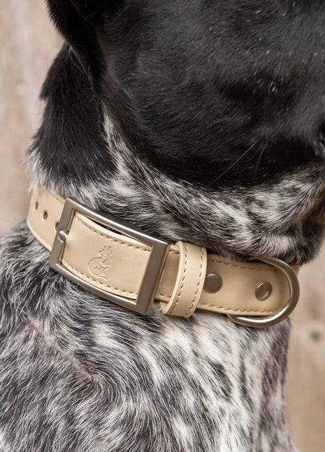 Champagne Fizz Vegan Leather Dog Collar