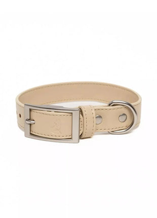 Champagne Fizz Vegan Leather Dog Collar