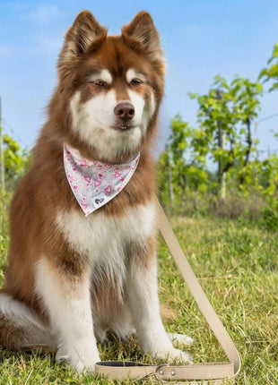 Champagne Fizz Vegan Leather Dog Leash