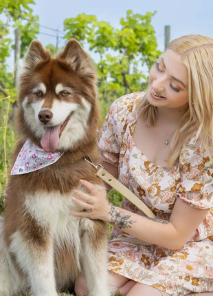 Cheers to Love Dog Bandana