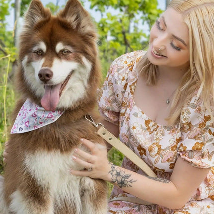 Cheers to Love Dog Bandana