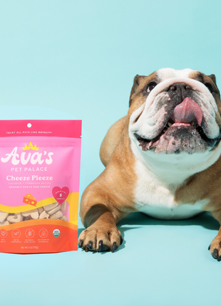 Organic Baked Dog Treats - Cheeze Pleeze