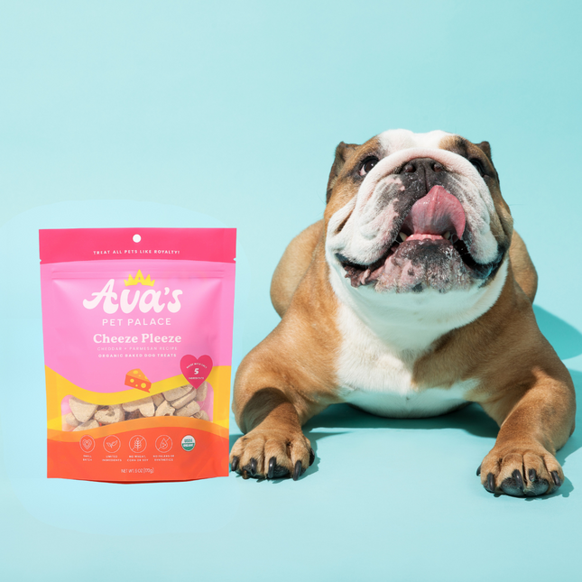 Organic Baked Dog Treats - Cheeze Pleeze