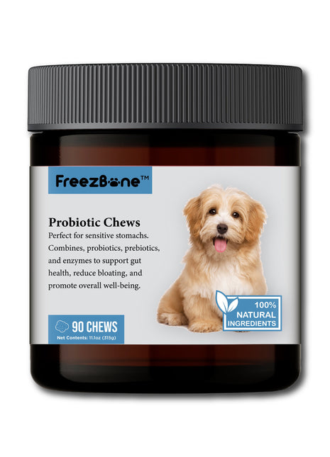 Probiotic Chews (90 Chews)