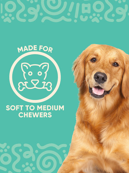 ToothBuddy