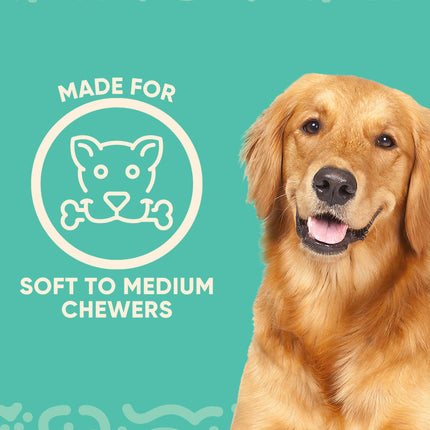Teethin' Time - Pup List