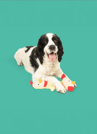 Clucky Plush Set