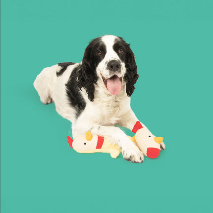 Clucky Plush Set