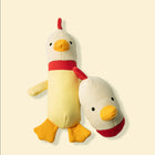 Clucky Plush Set