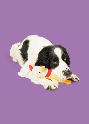 Clucky Plush