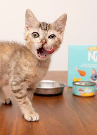 Chicken Flaked With Carrot & Sweet Potato Recipe Dinner In Broth Adult Cat Food, 2.8-oz