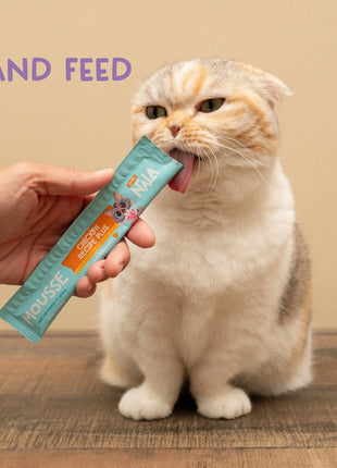 Tuna Recipe Plus Cat Treats, Pack of 4