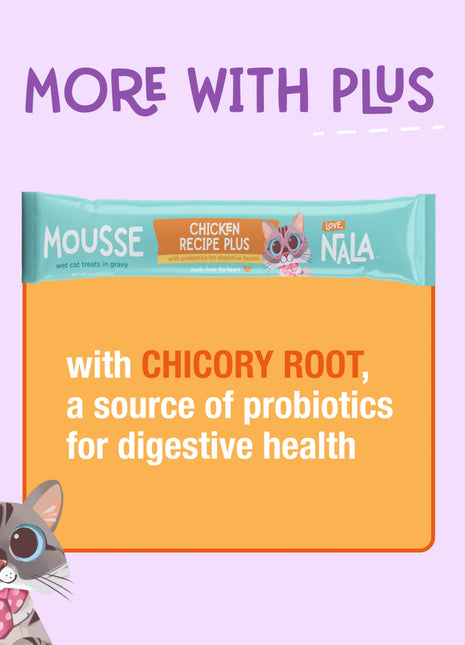 Chicken Recipe Plus Cat Treats, Pack of 4