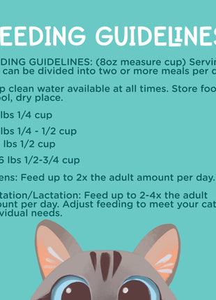 Chicken Grain Free Recipe Air-Dried Adult Cat Food 1lb bag