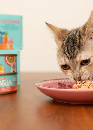 Chicken With Carrot Pumpkin Recipe Paté Dinner In Broth Adult Cat Food, 2.8-oz