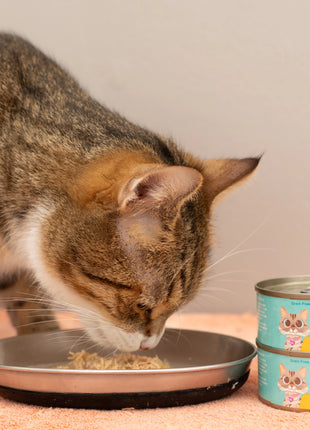 Chicken Flaked With Pumpkin Recipe Dinner In Broth Adult Cat Food, 2.8-oz