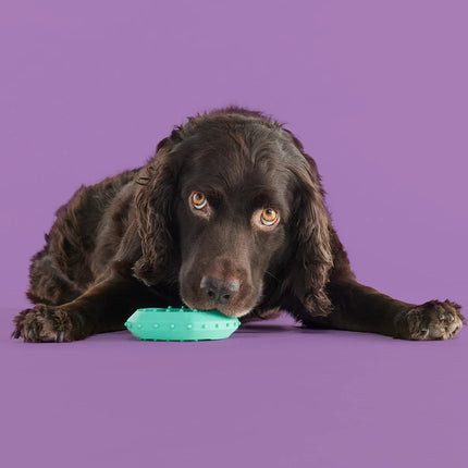 Teethin' Time - Pup List