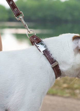 Traditional Chocolate Leather Leash