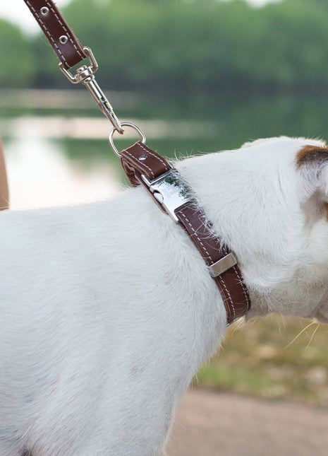 Traditional Chocolate Leather Leash