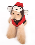 Circus Monkey