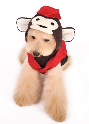 Circus Monkey