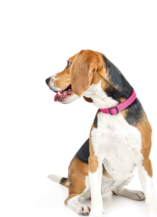 City Collar - Park Ave Pink