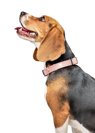 City Collar - Sweetheart