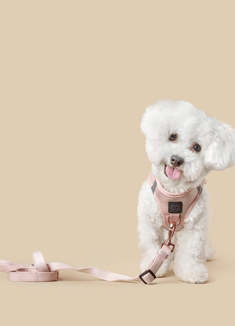 3-in-1 City Dog Leash - Blush