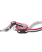 City Dog Leash - Champion Gray