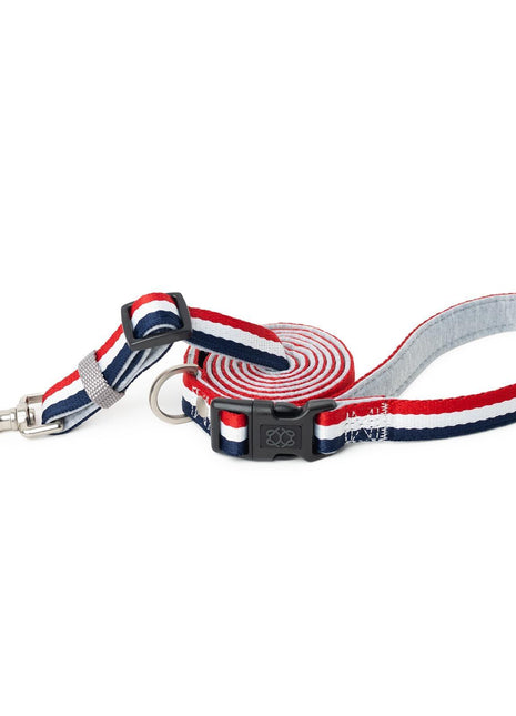 City Dog Leash - Champion Gray