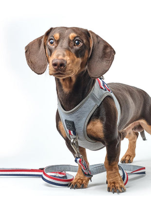 City Dog Leash - Champion Gray