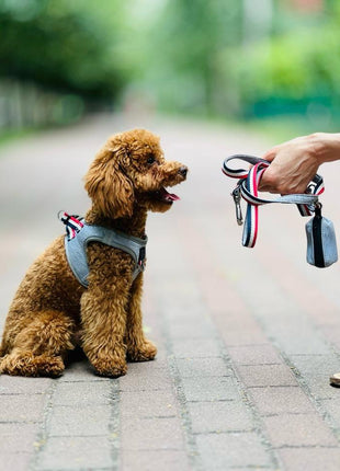 City Dog Leash - Champion Gray