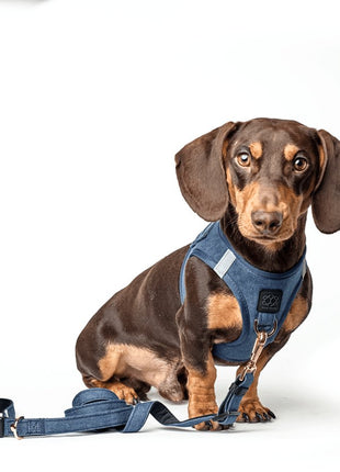 3-in-1 City Dog Leash - Denim