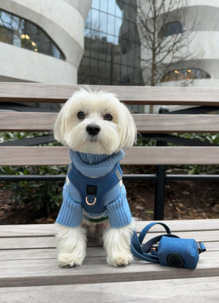 City Dog Leash - Denim