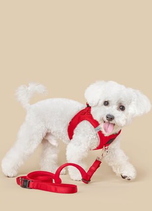 City Dog Leash - Iconic Red
